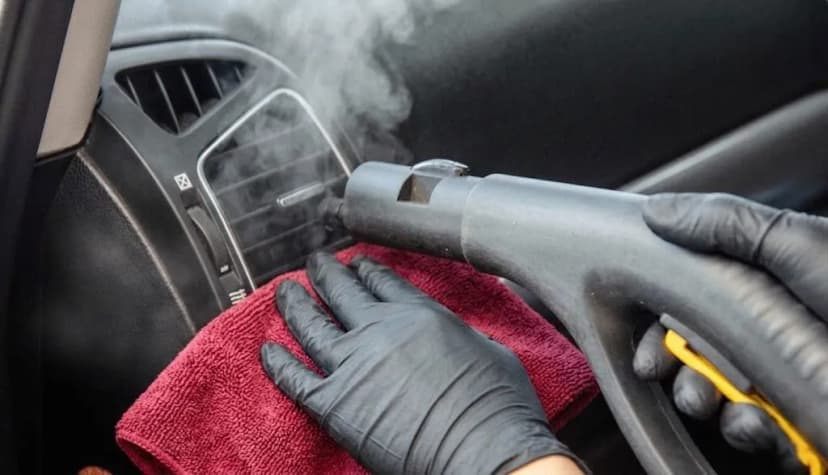 Mould Removal